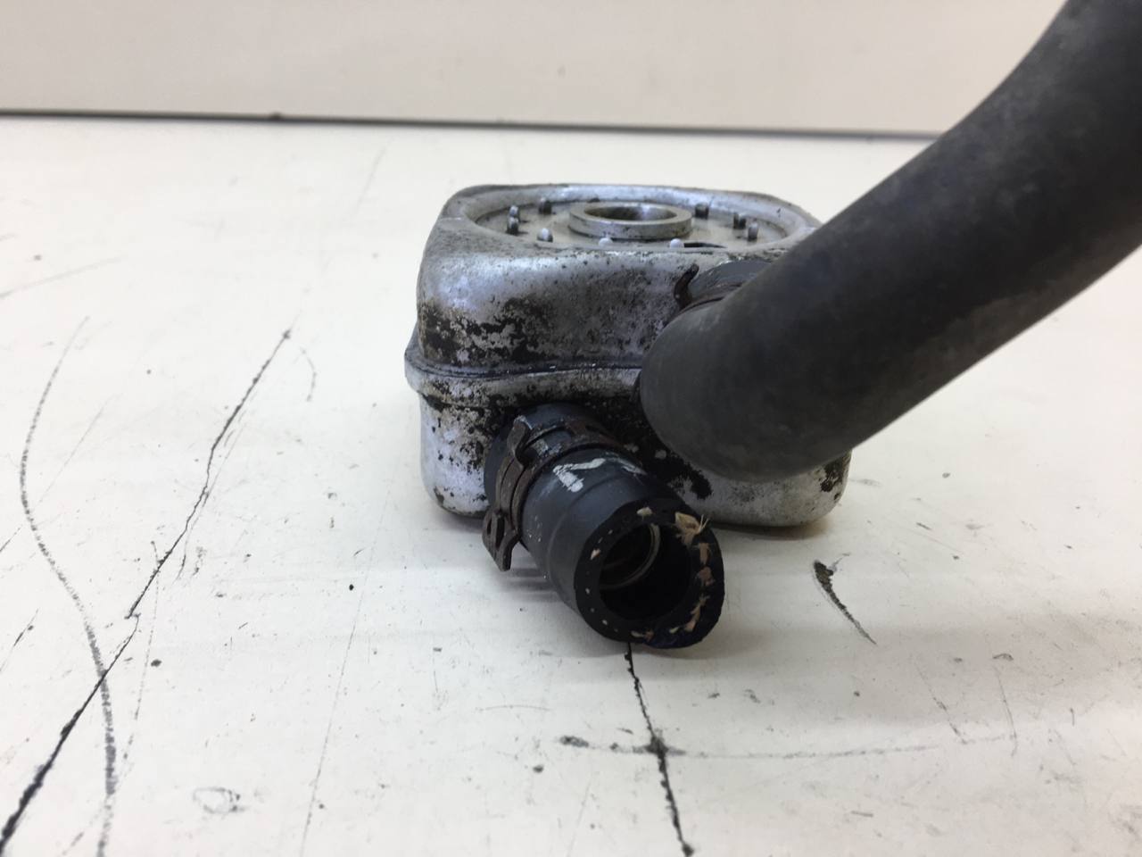 Радиатор масляный Skoda Octavia (A5 1Z-) 2004-2013