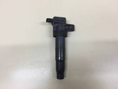 Катушка зажигания Hyundai ix55 (EN) 2006-2013