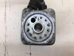 Радиатор масляный Skoda Octavia (A5 1Z-) 2004-2013