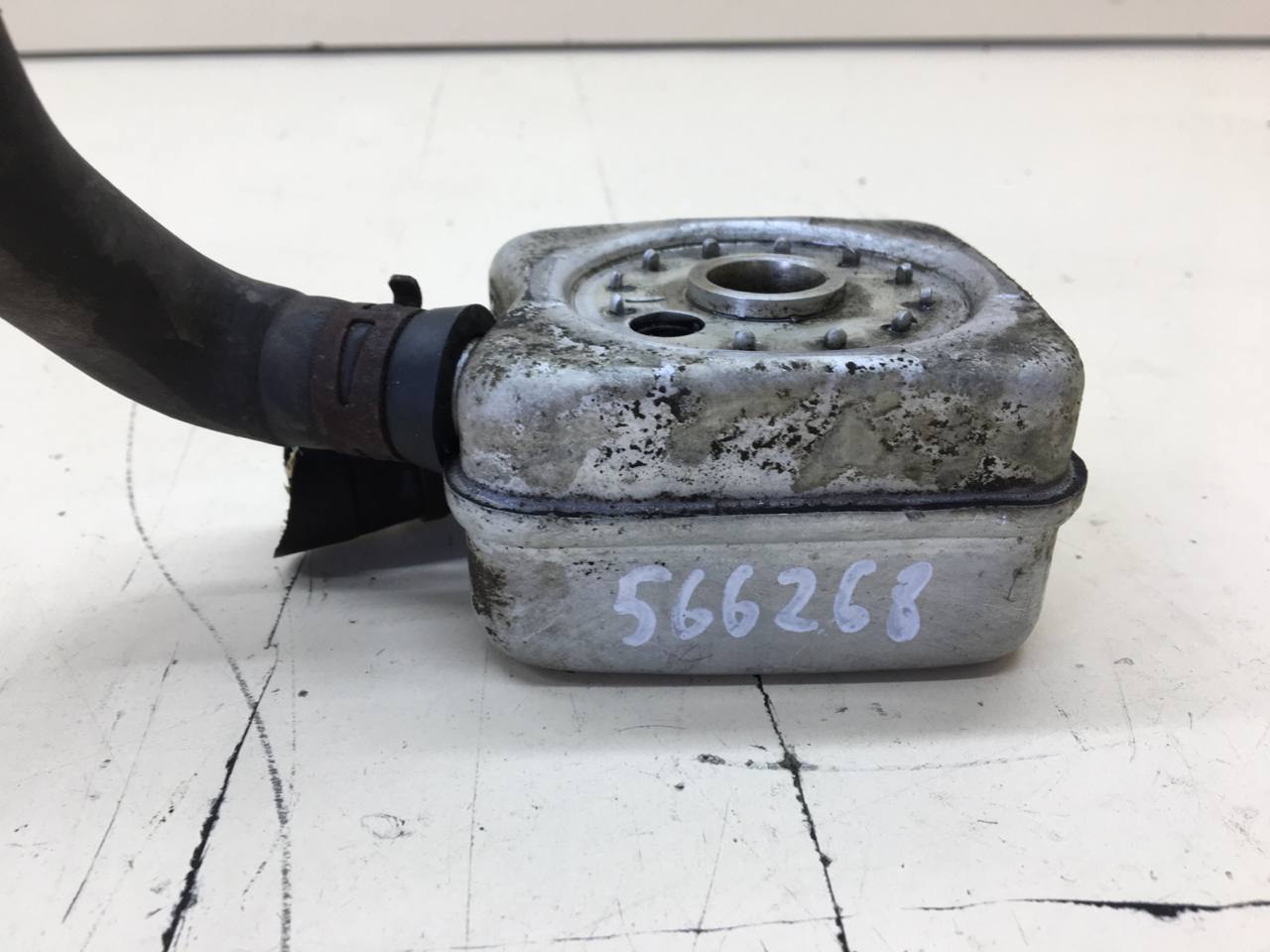 Радиатор масляный Skoda Octavia (A5 1Z-) 2004-2013