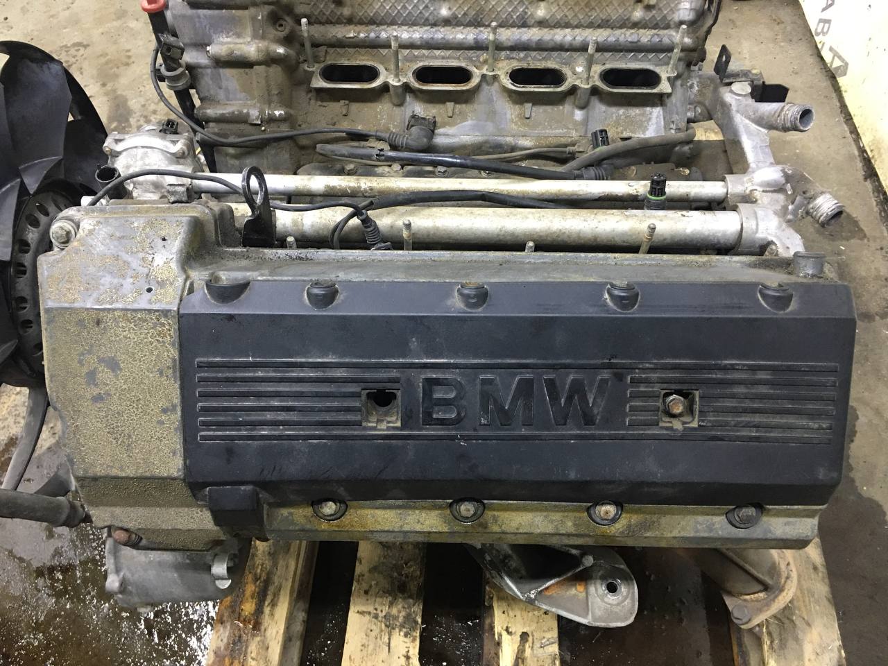 Двигатель BMW X5 E53 2000-2007