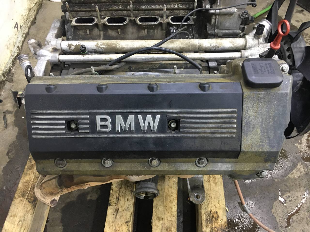 Двигатель BMW X5 E53 2000-2007
