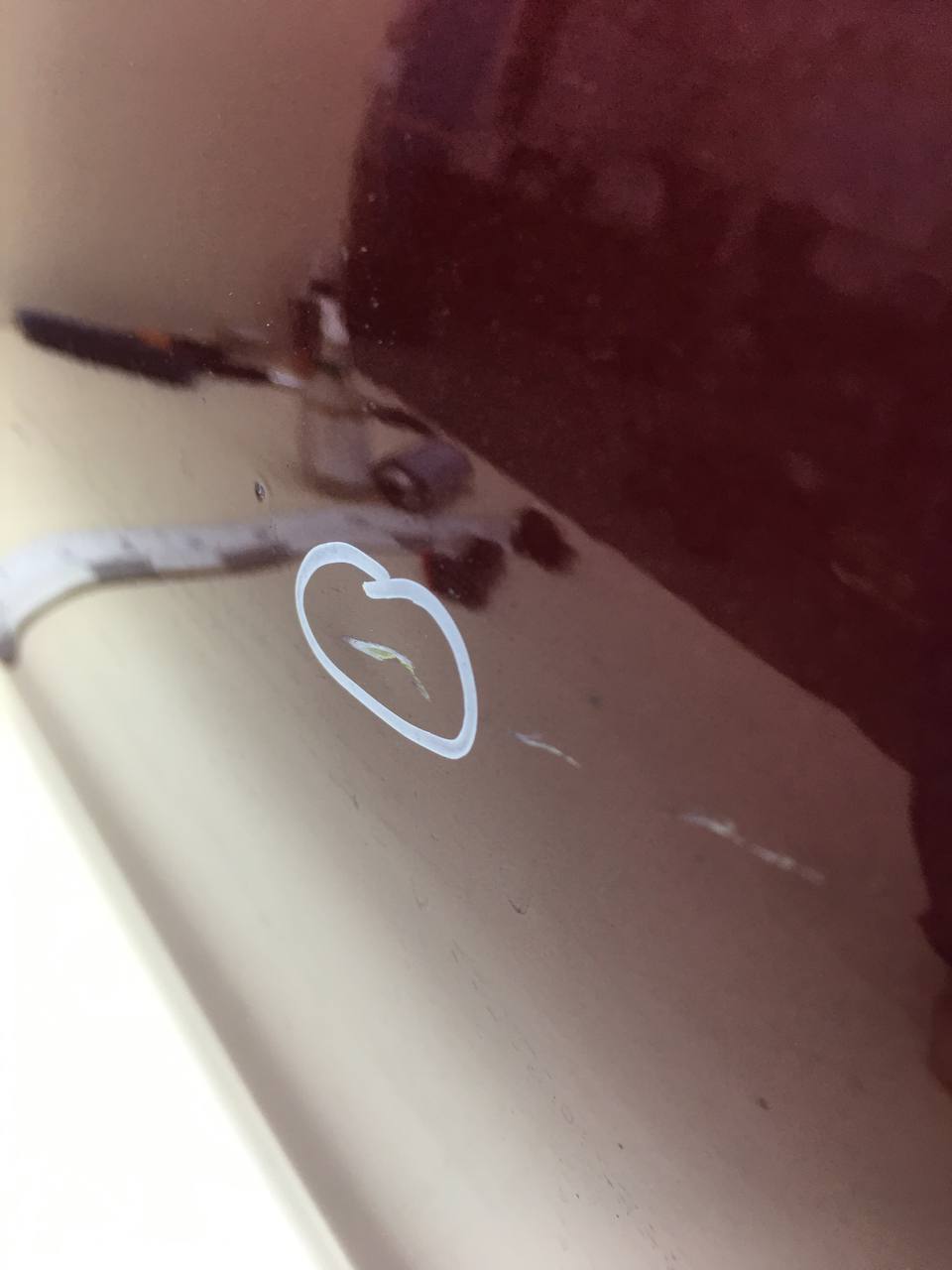 Дверь задняя левая Fiat Albea 2002-2012