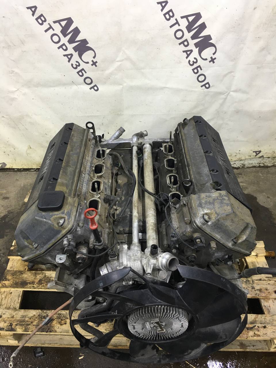 Двигатель BMW X5 E53 2000-2007