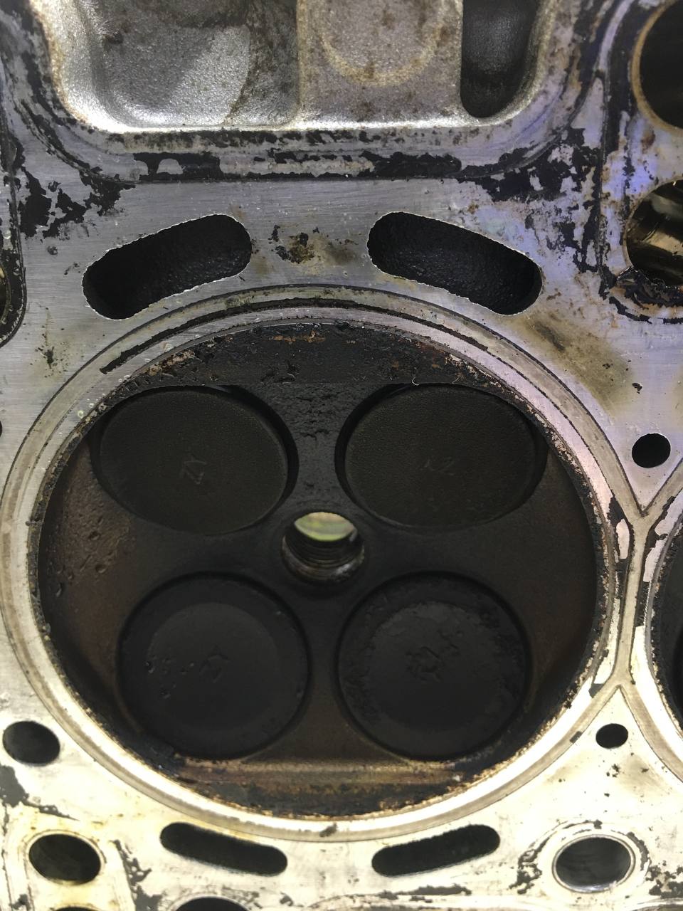 Головка блока цилиндров Mazda Mazda 2 (DE) 2007-2014